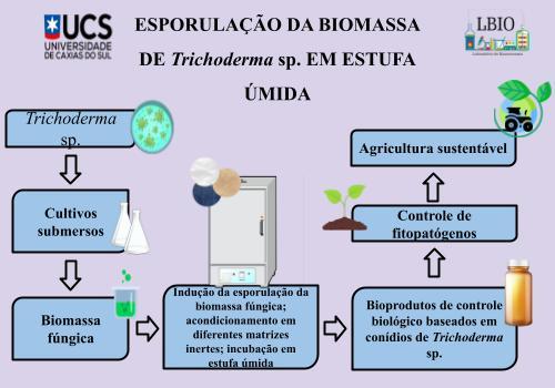 ESPORULAÇÃO DA BIOMASSA DE Trichoderma sp. EM ESTUFA ÚMIDA