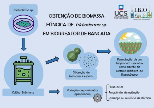 Obtenção de biomassa fúngica de Trichoderma sp. em biorreator de bancada