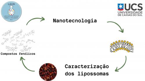 Avaliação da atividade antioxidante de lipossomas contendo extrato fenólico