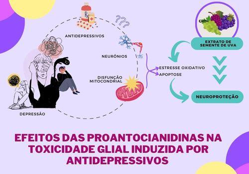 Efeitos das proantocianidinas na toxicidade glial induzida por antidepressivos