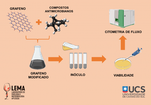 Atividade antimicrobiana e ação de compostos conjugados com grafeno oxidado