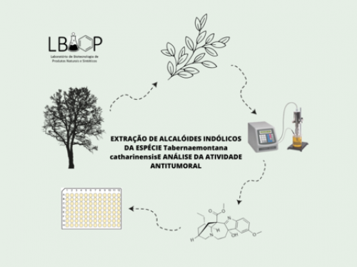 ALCALÓIDES INDÓLICOS DE Tabernaemontana catharinensis E ATIVIDADE ANTITUMORAL