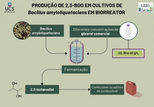 MAXIMIZAÇÃO DA PRODUÇÃO DE 2,3-BDO EM CULTIVOS DE Bacillus amyloliquefaciens EM BIORREATOR