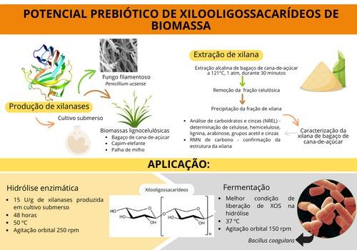 Produção de XOS a partir de biomassa lignocelulósica e seu potencial prebiótico