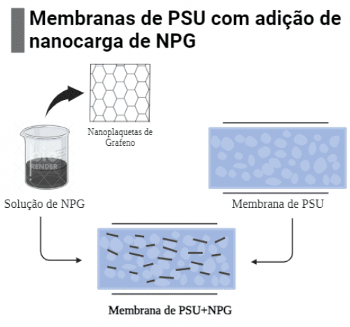 AVALIAÇÃO DA INFLUÊNCIA DA PRESENÇA DE NPG NA PERMEABILIDADE DE MEMBRANAS DE PSU