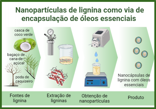 Nanopartículas de lignina como via de encapsulação de óleos essenciais