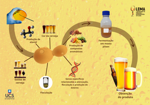 MELHORAMENTO DE LEVEDURAS CERVEJEIRAS