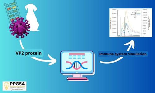 Predicting immunogenicity of VP2 in canine parvovirus variants.