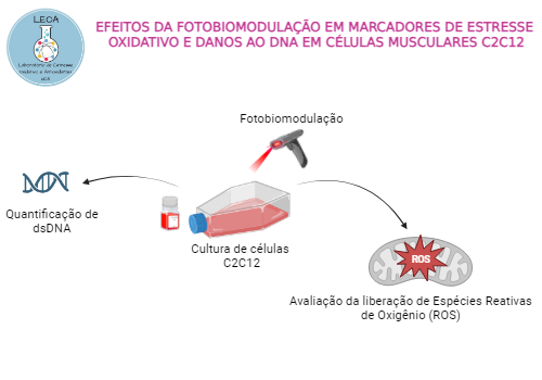 FOTOBIOMODULAÇÃO E REVERSÃO DE DANOS OXIDATIVOS EM CÉLULAS MIOBLÁSTICAS