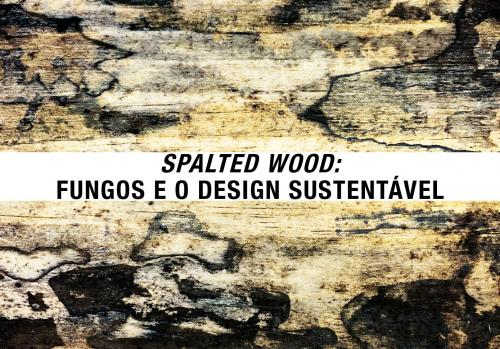 Aplicações de micélios: fungos na produção de spalted wood em design sustentável