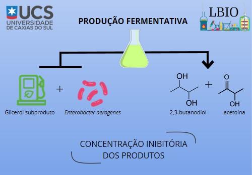 SÍNTESE DE 2,3-BUTANODIOL POR E. aerogenes: AVALIAÇÃO  DA INIBIÇÃO POR PRODUTOS 