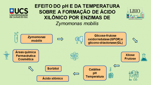 EFEITO DO pH E DA TEMPERATURA SOBRE A FORMAÇÃO DE ÁCIDO XILÔNICO POR ENZIMAS DE Zymomonas 