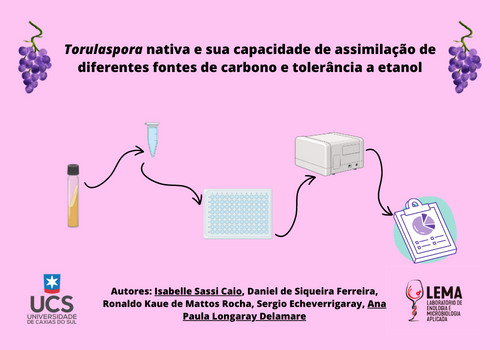 Torulaspora nativa e sua capacidade de assimilação de diferentes fontes de carbono e toler