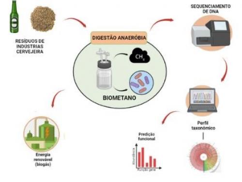 Caracterização taxonômica de microbiomas anaeróbios para produção de biogás