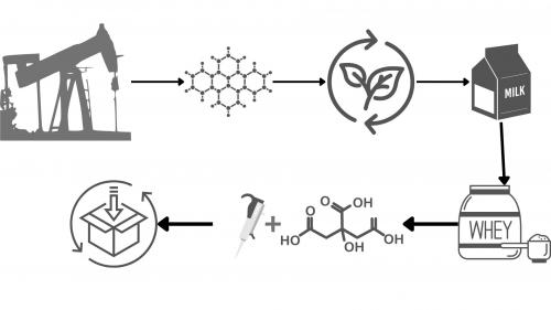 Filmes biodegradáveis de soro de leite com diferentes teores de reticulante