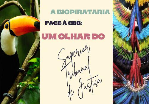 A biopirataria face à CDB: um olhar do STJ
