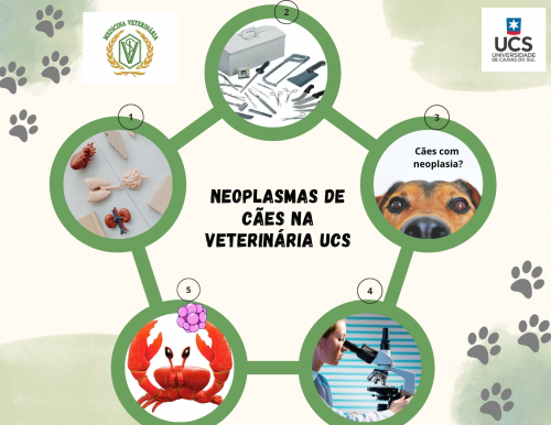 Diagnóstico Patológico de Neoplasmas de Cães na Veterinária UCS