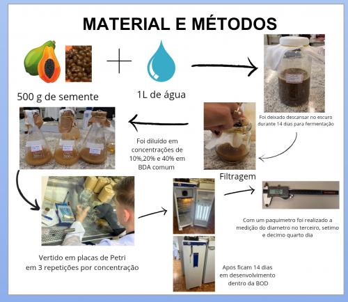 Fermentado Botânico no Controle de Fungos Patogênicos na Serra Gaúcha
