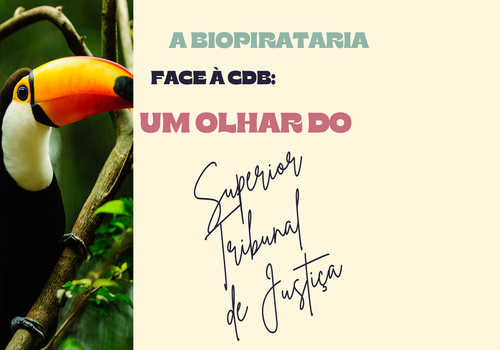 A Biopirataria face à CDB: um olhar do STJ