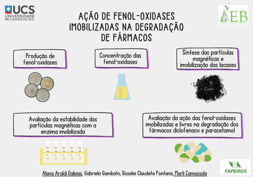 AÇÃO DE FENOL-OXIDASES IMOBILIZADAS NA DEGRADAÇÃO DE FÁRMACOS