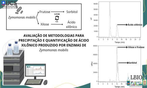 METODOLOGIA QUANTITATIVA DE ÁCIDO XILÔNICO PRODUZIDO POR ENZIMAS DE Z. mobilis