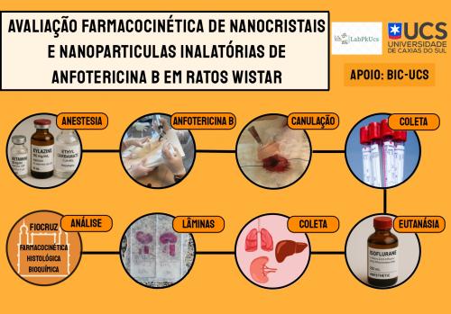 AVALIAÇÃO FARMACOCINÉTICA DE ANFOTERICINA B INALÁVEL EM RATOS WISTAR
