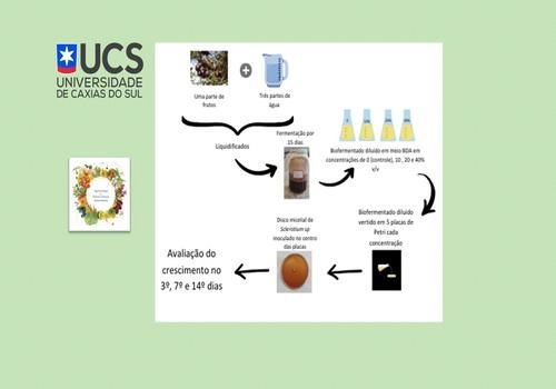 Avaliação da ação de biofermentado de frutos de sobre o fungo Sclerotium sp.