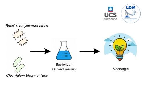 AVALIAÇÃO DO CONSUMO DE GLICEROL RESIDUAL POR BACTÉRIAS PRODUTORAS DE HIDROGÊNIO