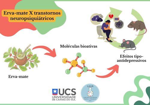 Efeitos tipo antidepressivos da erva-mate: uma revisão de estudos pré-clínicos e transvers