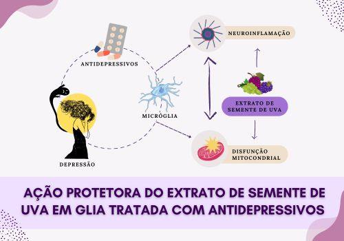 Ação protetora do extrato de semente de uva em glia tratada com antidepressivos