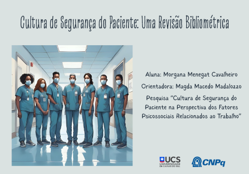 CULTURA DE SEGURANÇA DO PACIENTE: UMA REVISÃO BIBLIOMÉTRICA