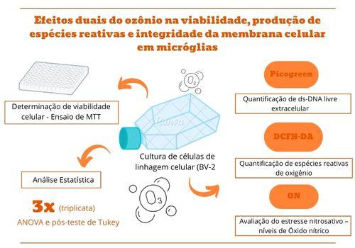 Efeitos duais do ozônio da membrana celular em micróglias