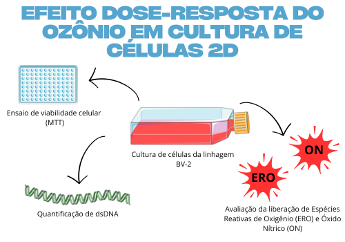 EFEITO DOSE-RESPOSTA DO OZÔNIO EM CULTURA DE CÉLULAS 2D