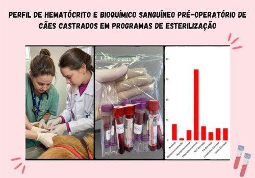 Perfil hematológico de cães castrados em programas de esterilização