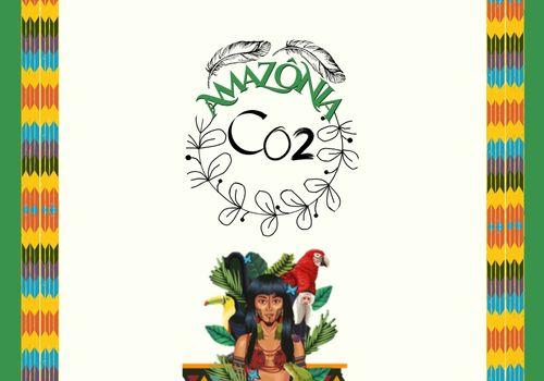 COLONIALISMO DE CARBONO: ESTUDO DOS CRÉDITOS DE CARBONO EM ÁREAS INDÍGENAS