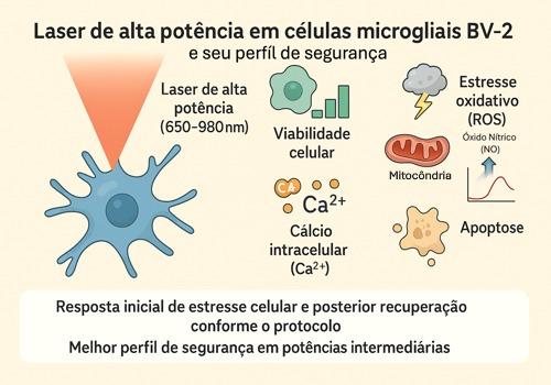Perfil de segurança da laserterapia de alta potência em células microgliais BV-2