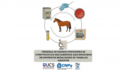 Presença de equinos portadores de Streptococcus equi subspécie equi em eventos