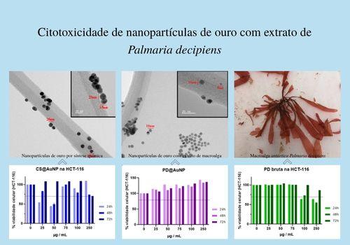 Citotoxicidade de nanopartículas de ouro com extrato de Palmaria decipiens