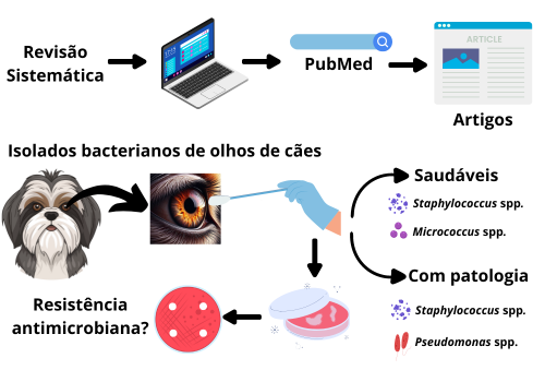 Revisão sistemática sobre bactérias oculares em cães saudáveis e com patologias