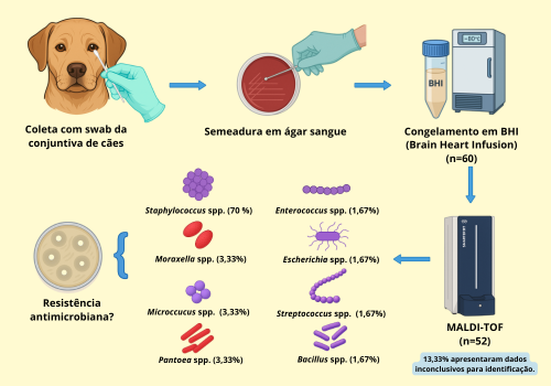 Identificação bacteriana e resistência na conjuntiva de cães saudáveis
