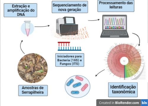 Taxonomia de amostras microbiológicas ambientais e suas limitações