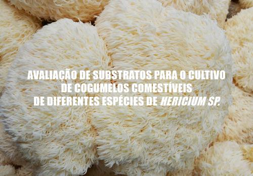 Avaliação de substratos para cultivo de diferentes espécies de Hericium sp.