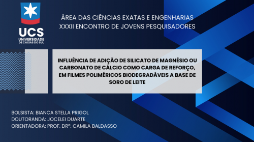 Influência da adição de silicato de magnésio ou carbonato de cálcio como carga de reforço 