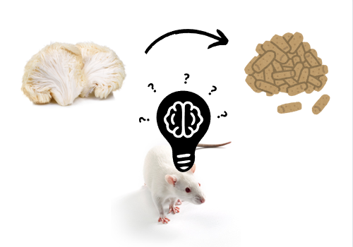 Efeito da suplementação alimentar com fungos do  gênero Hericium em ratos Wistar