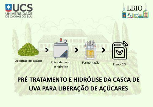 PRÉ-TRATAMENTO E HIDRÓLISE DA CASCA DE UVA PARA LIBERAÇÃO DE AÇÚCARES