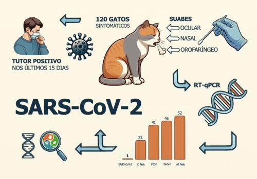 DETECÇÃO DE SARS-COV-2 EM GATOS DOMÉSTICOS NA SERRA GAÚCHA DURANTE A PANDEMIA