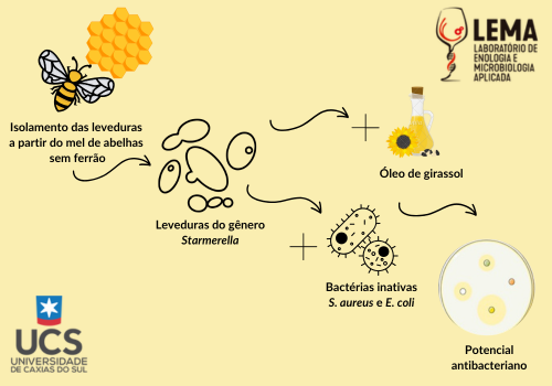 Bioprospecção de leveduras não convencionais com potencial antibacteriano
