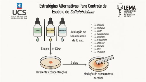 Avaliação do efeito de fungicidas sobre diferentes espécies de Colletotrichum