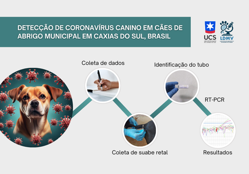 DETECÇÃO DE CORONAVÍRUS CANINO EM CÃES DE ABRIGO MUNICIPAL EM CAXIAS DO SUL, BR